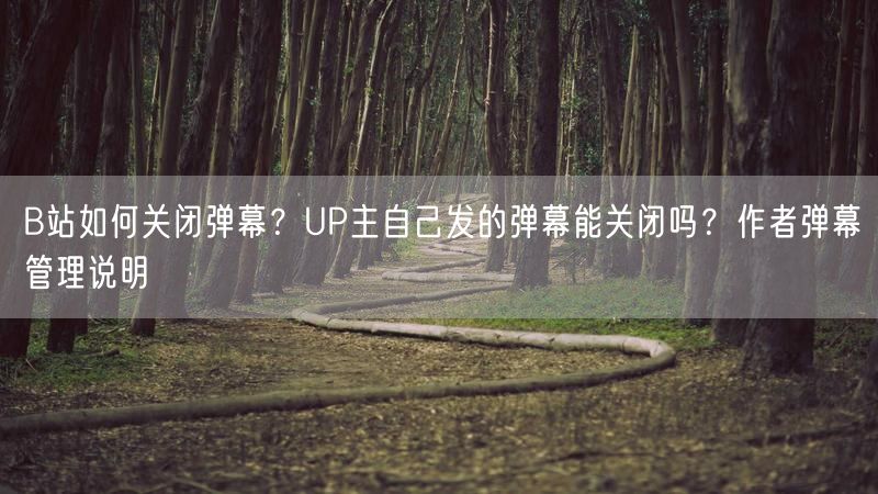 B站如何关闭弹幕？UP主自己发的弹幕能关闭吗？作者弹幕管理说明