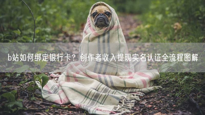 b站如何绑定银行卡？创作者收入提现实名认证全流程图解