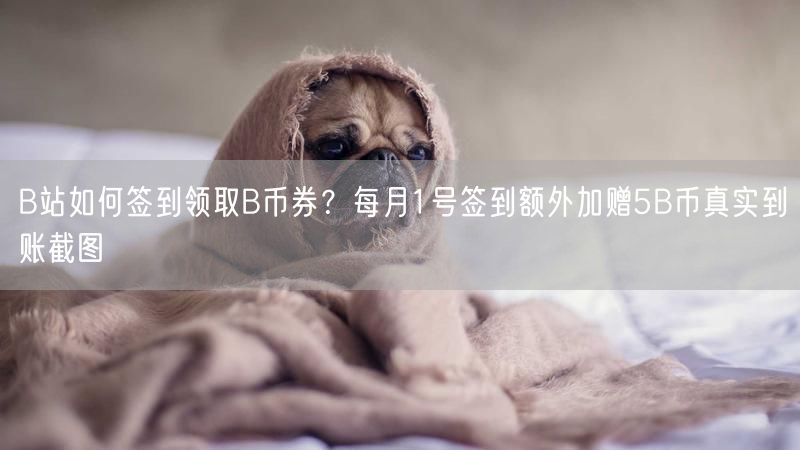 B站如何签到领取B币券？每月1号签到额外加赠5B币真实到账截图
