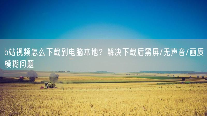 b站视频怎么下载到电脑本地？解决下载后黑屏/无声音/画质模糊问题