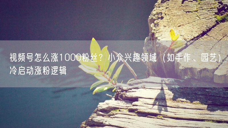 视频号怎么涨1000粉丝？小众兴趣领域（如手作、园艺）冷启动涨粉逻辑