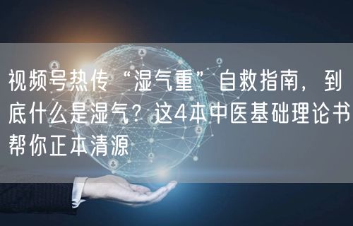 视频号热传“湿气重”自救指南，到底什么是湿气？这4本中医基础理论书帮你正本清源