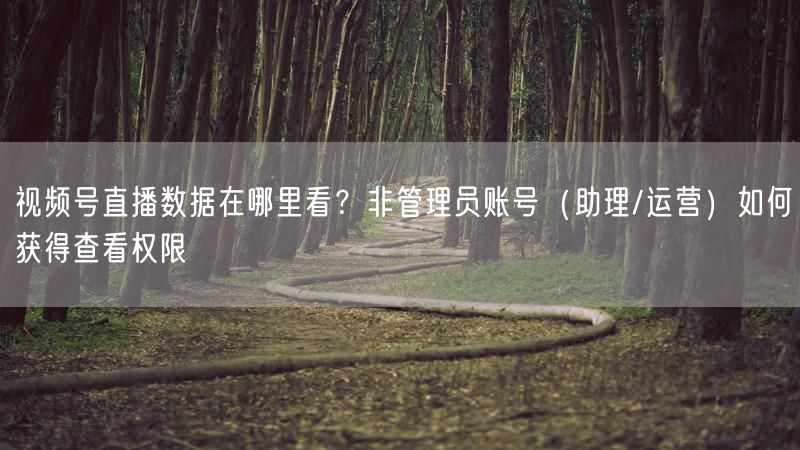 视频号直播数据在哪里看？非管理员账号（助理/运营）如何获得查看权限