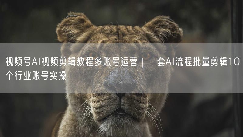 视频号AI视频剪辑教程多账号运营｜一套AI流程批量剪辑10个行业账号实操
