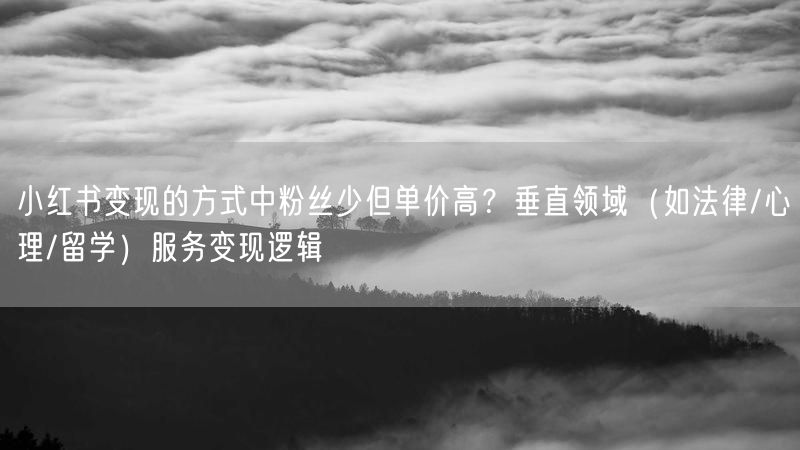 小红书变现的方式中粉丝少但单价高？垂直领域（如法律/心理/留学）服务变现逻辑