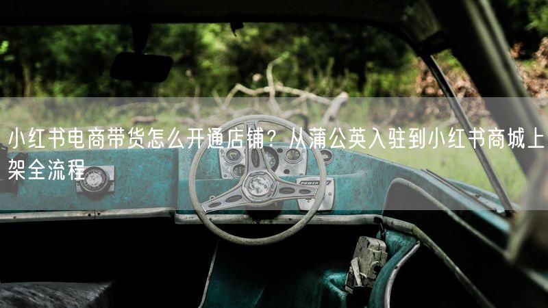 小红书电商带货怎么开通店铺？从蒲公英入驻到小红书商城上架全流程