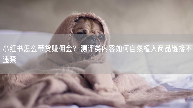 小红书怎么带货赚佣金？测评类内容如何自然植入商品链接不违禁