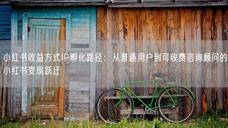 小红书收益方式IP孵化路径：从普通用户到可收费咨询顾问的小红书变现跃迁