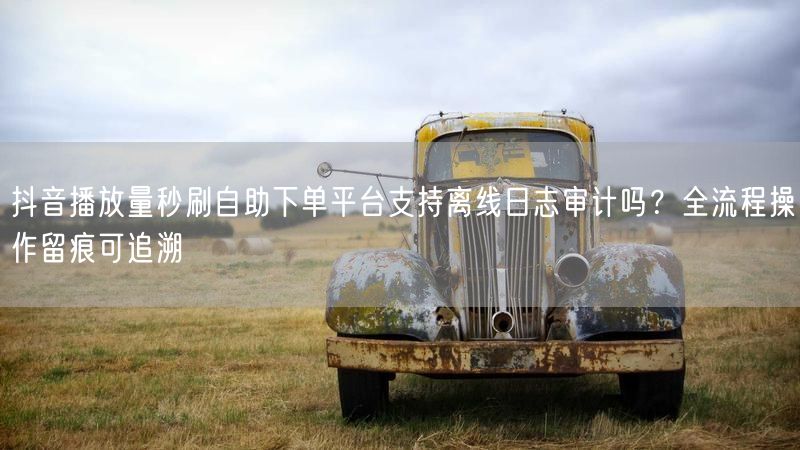 抖音播放量秒刷自助下单平台支持离线日志审计吗？全流程操作留痕可追溯