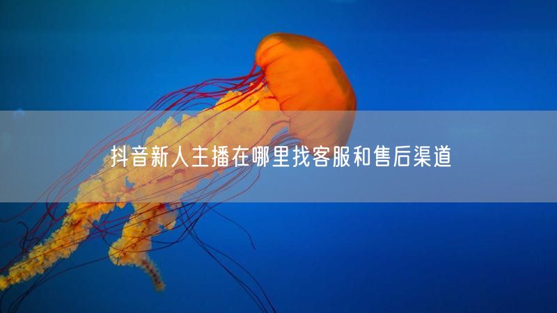 抖音新人主播在哪里找客服和售后渠道