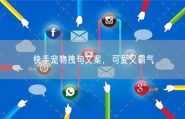 快手宠物拽句文案，可爱又霸气