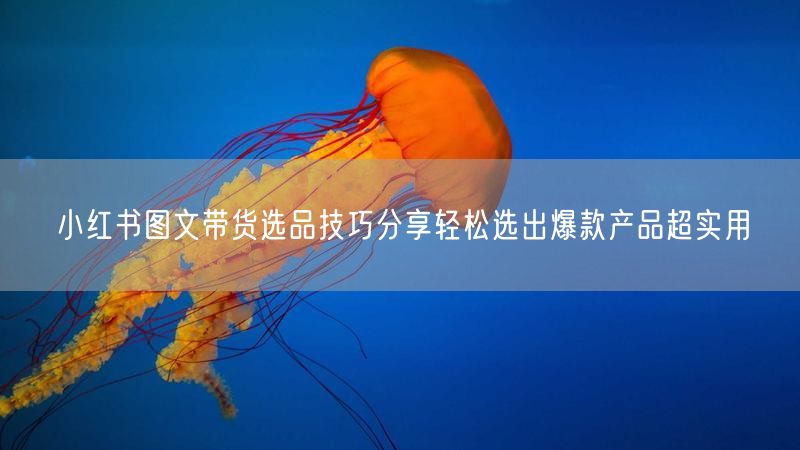小红书图文带货选品技巧分享轻松选出爆款产品超实用