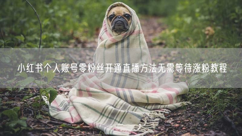 小红书个人账号零粉丝开通直播方法无需等待涨粉教程