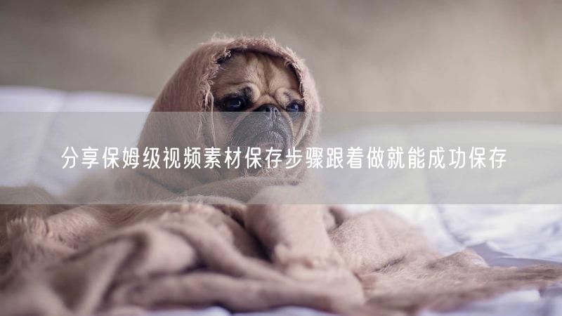 分享保姆级视频素材保存步骤跟着做就能成功保存