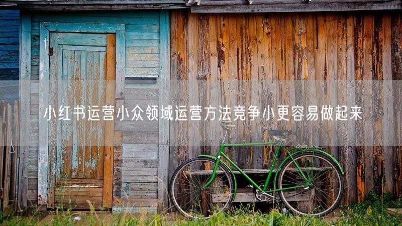 小红书运营小众领域运营方法竞争小更容易做起来