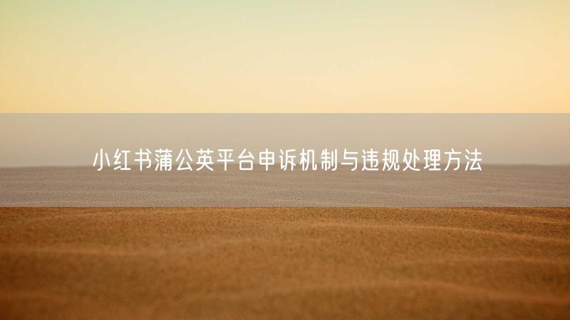 小红书蒲公英平台申诉机制与违规处理方法