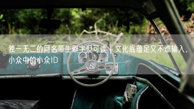 独一无二的网名带生僻字但可读｜文化底蕴足又不难输入，小众中的小众ID
