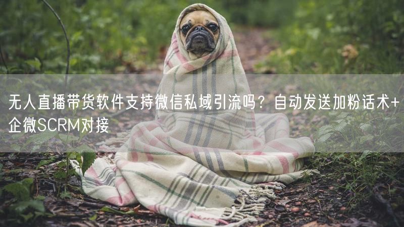 无人直播带货软件支持微信私域引流吗？自动发送加粉话术+企微SCRM对接
