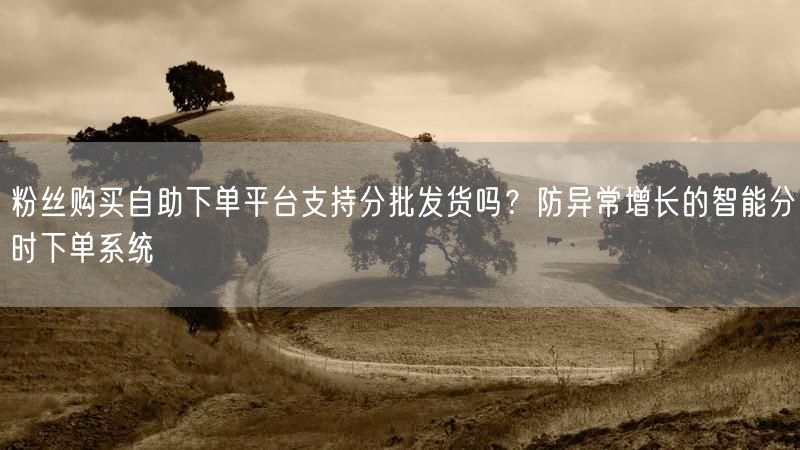 粉丝购买自助下单平台支持分批发货吗？防异常增长的智能分时下单系统