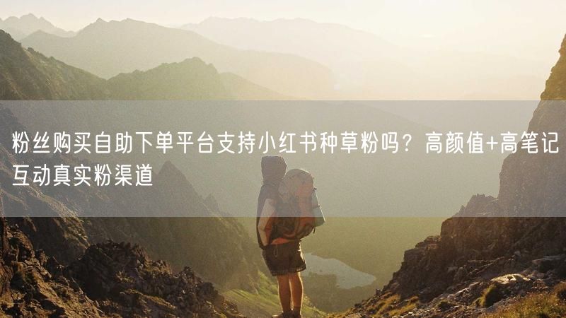 粉丝购买自助下单平台支持小红书种草粉吗？高颜值+高笔记互动真实粉渠道