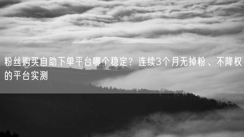 粉丝购买自助下单平台哪个稳定？连续3个月无掉粉、不降权的平台实测