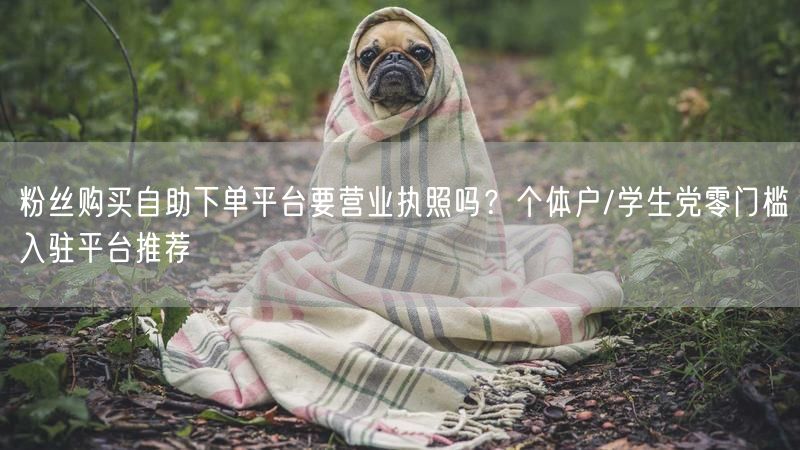 粉丝购买自助下单平台要营业执照吗？个体户/学生党零门槛入驻平台推荐