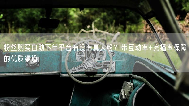 粉丝购买自助下单平台有没有真人粉？带互动率+完播率保障的优质渠道