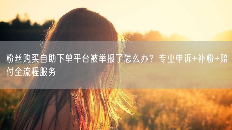 粉丝购买自助下单平台被举报了怎么办？专业申诉+补粉+赔付全流程服务