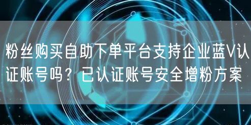 粉丝购买自助下单平台支持企业蓝V认证账号吗？已认证账号安全增粉方案
