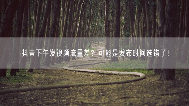 抖音下午发视频流量差？可能是发布时间选错了！