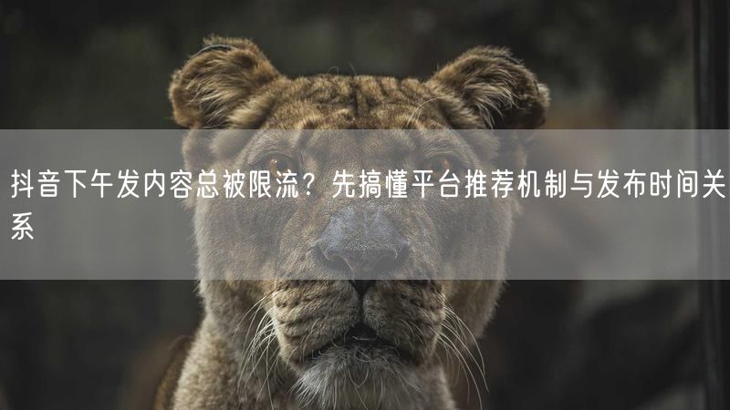 抖音下午发内容总被限流？先搞懂平台推荐机制与发布时间关系