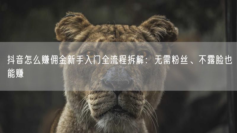 抖音怎么赚佣金新手入门全流程拆解：无需粉丝、不露脸也能赚