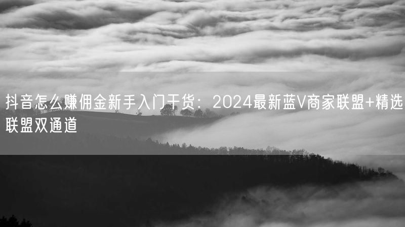抖音怎么赚佣金新手入门干货：2024最新蓝V商家联盟+精选联盟双通道