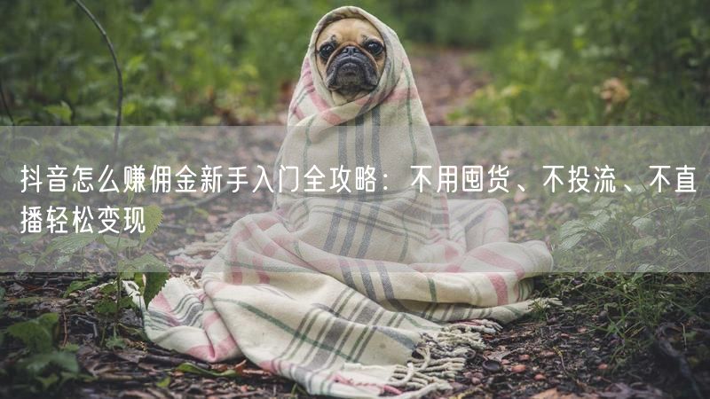 抖音怎么赚佣金新手入门全攻略：不用囤货、不投流、不直播轻松变现
