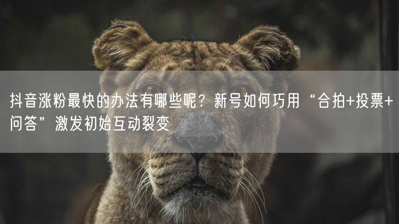 抖音涨粉最快的办法有哪些呢？新号如何巧用“合拍+投票+问答”激发初始互动裂变