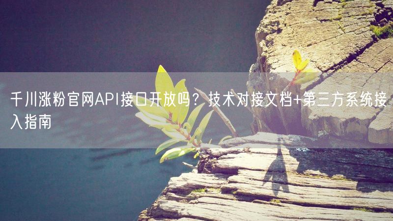 千川涨粉官网API接口开放吗？技术对接文档+第三方系统接入指南
