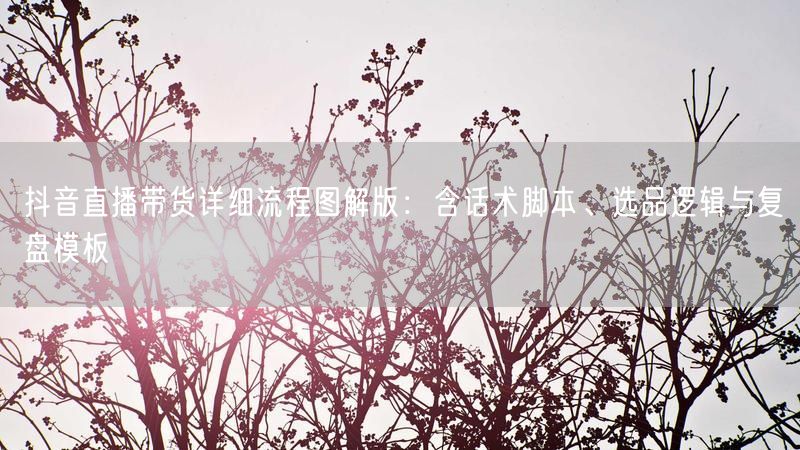 抖音直播带货详细流程图解版：含话术脚本、选品逻辑与复盘模板