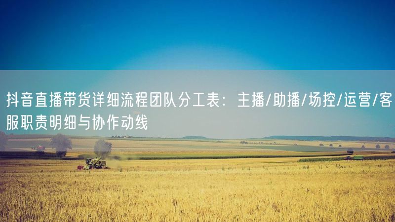 抖音直播带货详细流程团队分工表：主播/助播/场控/运营/客服职责明细与协作动线