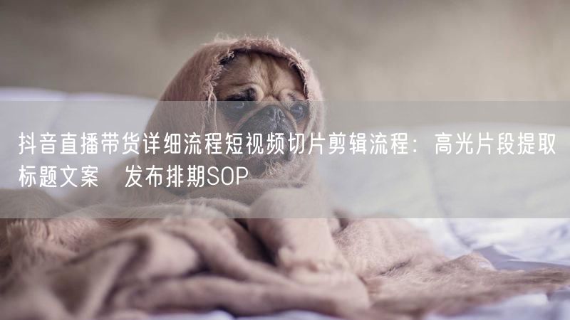 抖音直播带货详细流程短视频切片剪辑流程：高光片段提取→标题文案→发布排期SOP