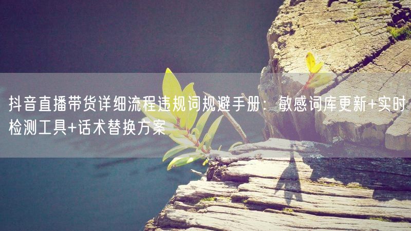 抖音直播带货详细流程违规词规避手册：敏感词库更新+实时检测工具+话术替换方案