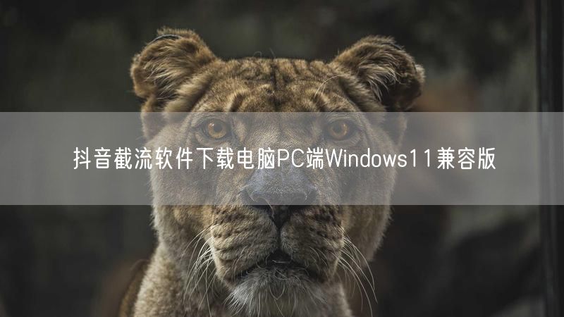 抖音截流软件下载电脑PC端Windows11兼容版