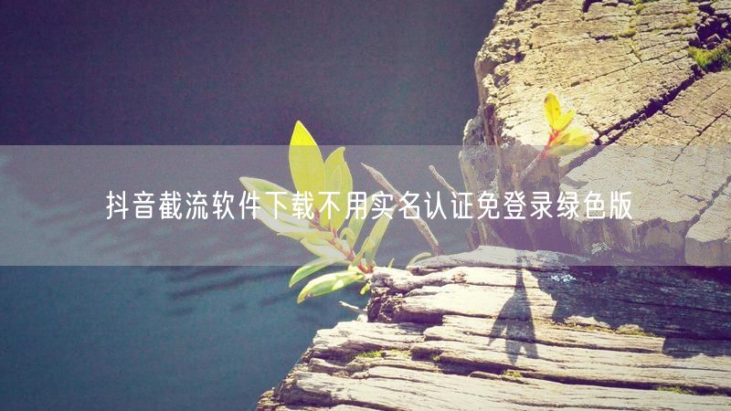 抖音截流软件下载不用实名认证免登录绿色版
