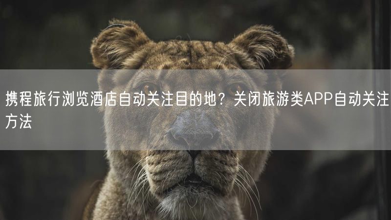 携程旅行浏览酒店自动关注目的地？关闭旅游类APP自动关注方法