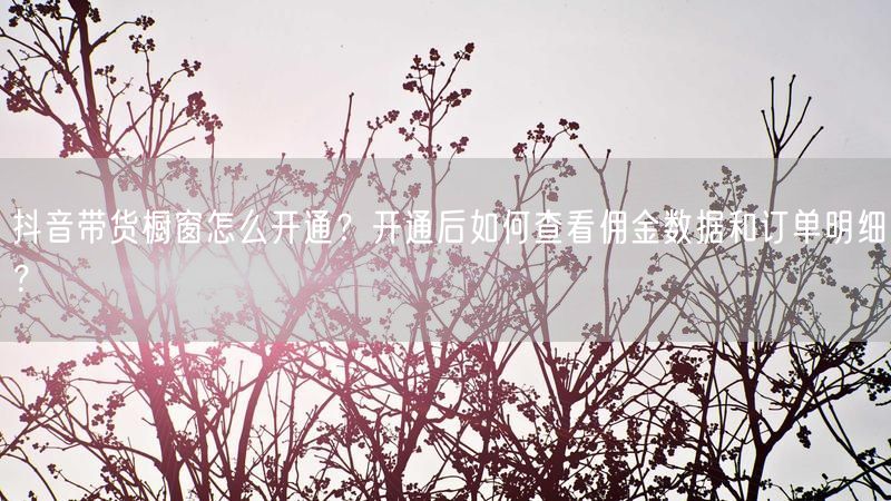 抖音带货橱窗怎么开通？开通后如何查看佣金数据和订单明细？