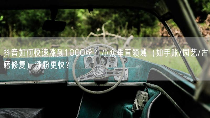 抖音如何快速涨到1000粉？小众垂直领域（如手账/园艺/古籍修复）涨粉更快？
