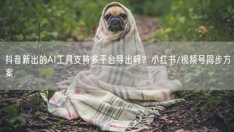 抖音新出的AI工具支持多平台导出吗？小红书/视频号同步方案