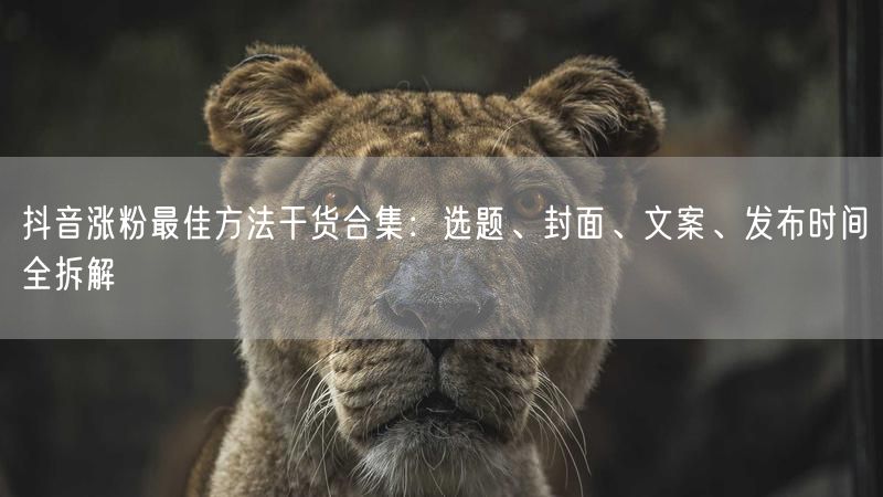抖音涨粉最佳方法干货合集：选题、封面、文案、发布时间全拆解