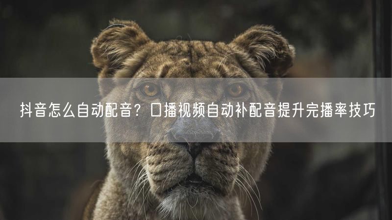 抖音怎么自动配音？口播视频自动补配音提升完播率技巧