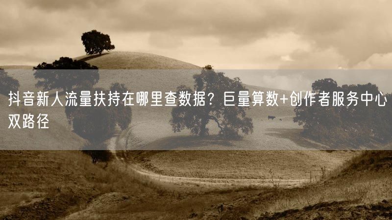 抖音新人流量扶持在哪里查数据？巨量算数+创作者服务中心双路径