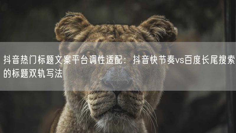 抖音热门标题文案平台调性适配：抖音快节奏vs百度长尾搜索的标题双轨写法